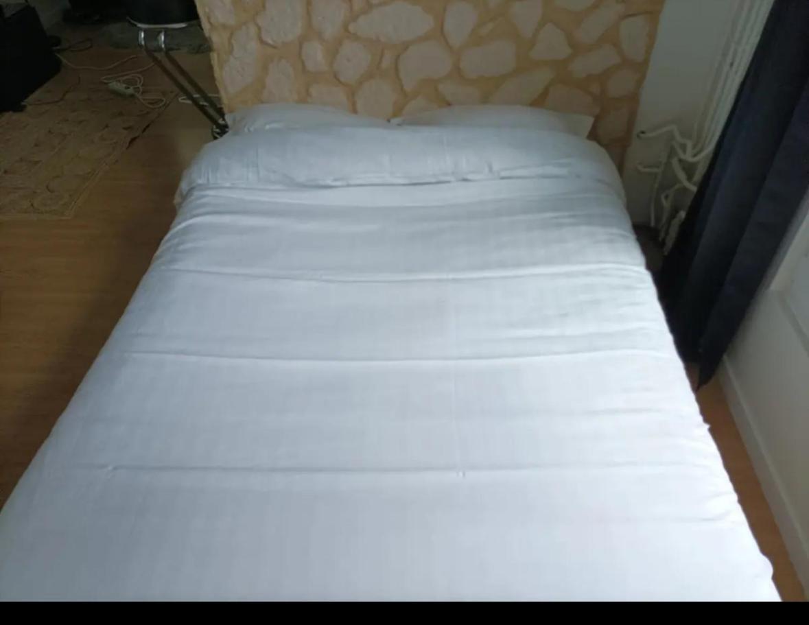 Appartement Agreable Appartementbuttes-chaumont Parijs